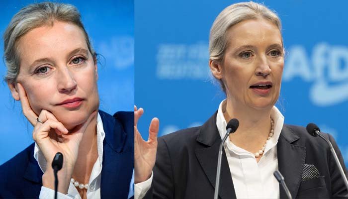 Alice Weidel Ohrprothese: Ein Blick auf ihre Herausforderungen und Lösungen